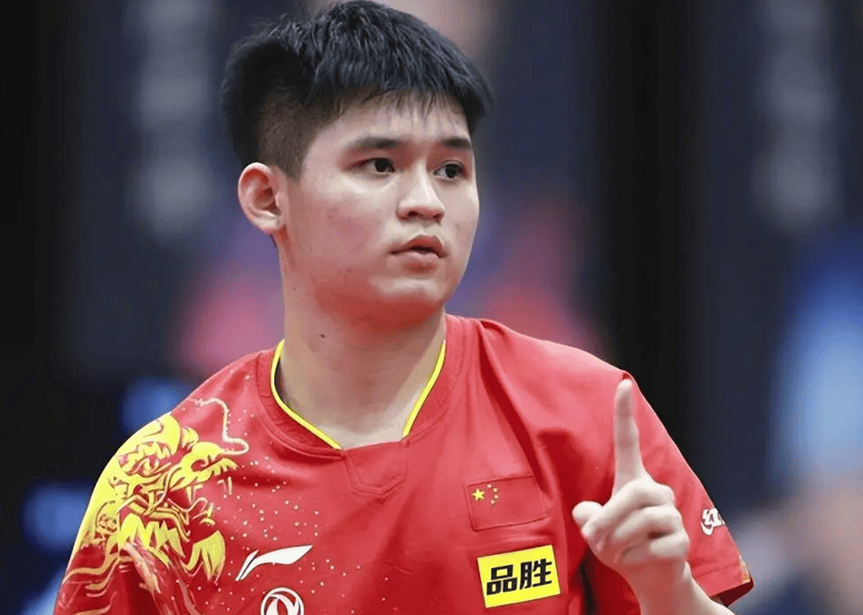 捍卫了国乒 捍卫了国乒